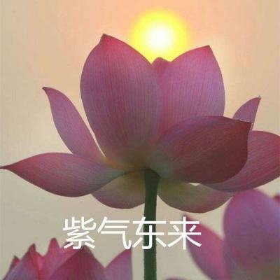 火柴人跳啊跳手机版下载